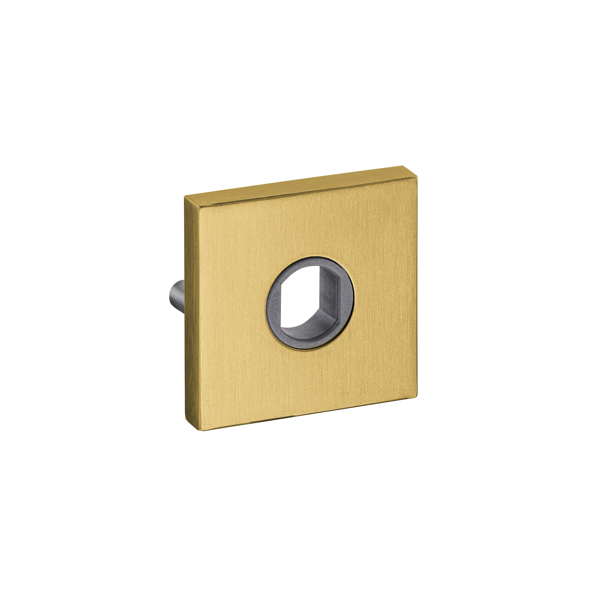 Rose QD08M.TG PVD Titanium Gold
